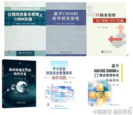 中国赛宝官方网站 CMMI SPCA评估和技术服务